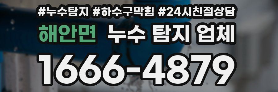 해안면 누수 탐지 업체