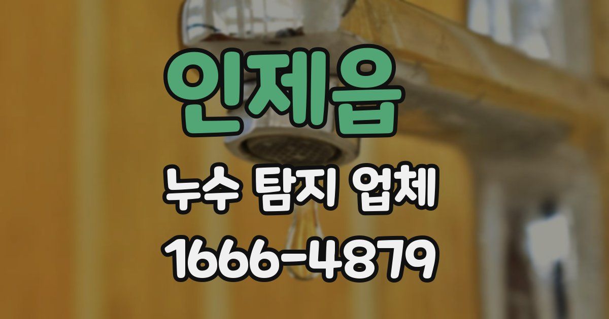인제읍 누수 탐지 업체