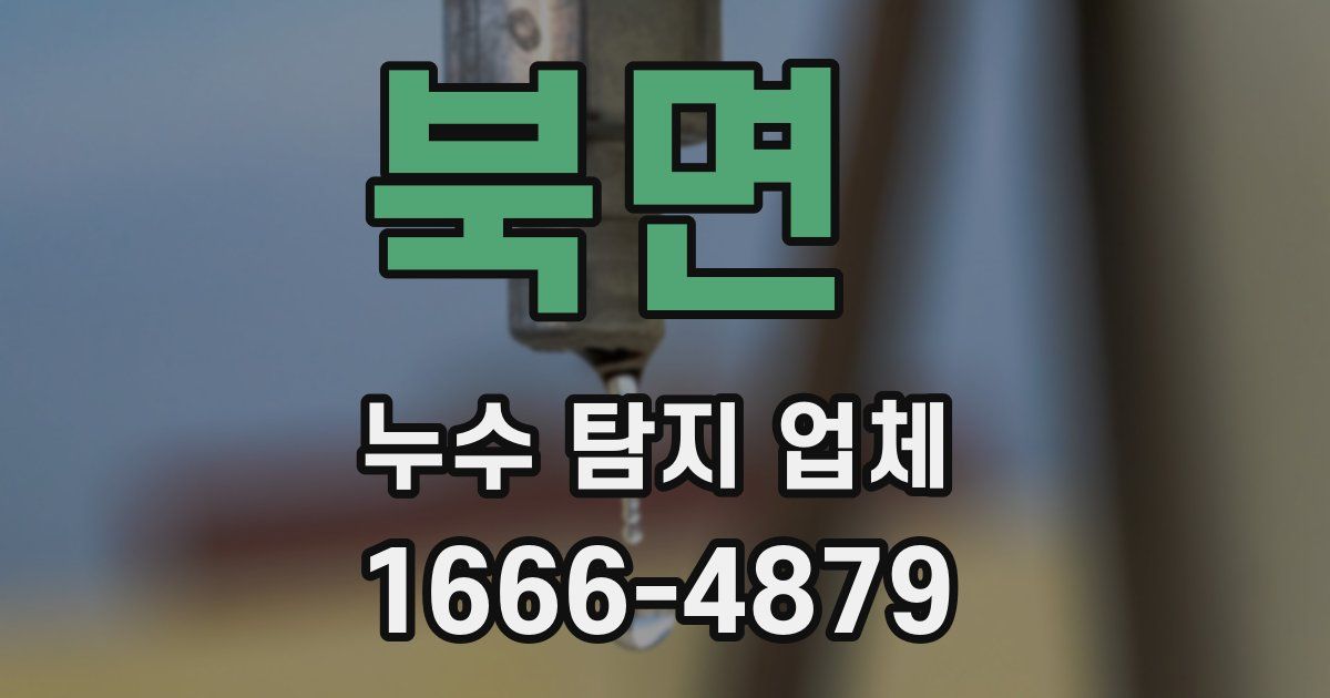 북면 누수 탐지 업체