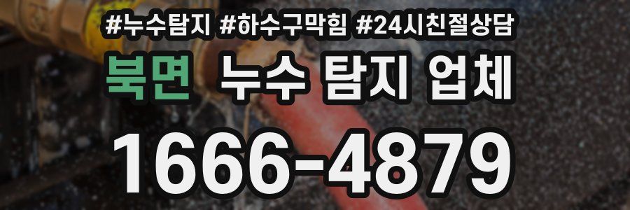 북면 누수 탐지 업체