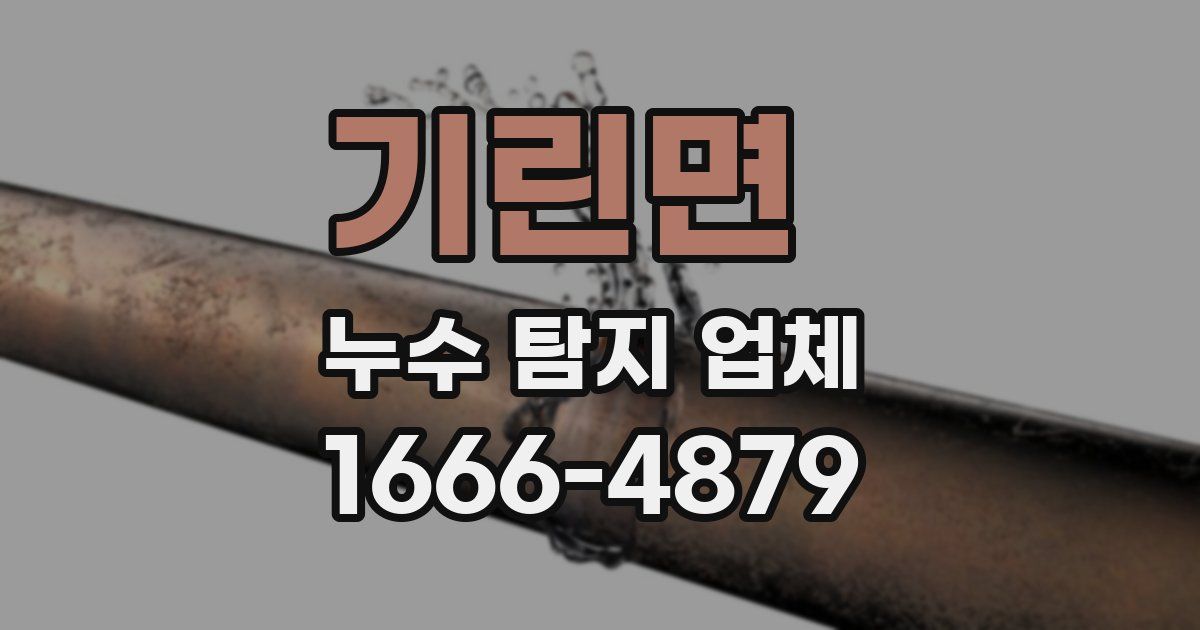 기린면 누수 탐지 업체