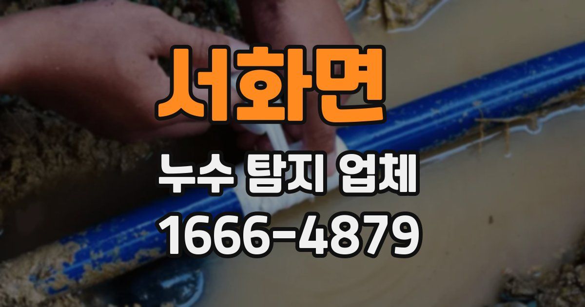 서화면 누수 탐지 업체