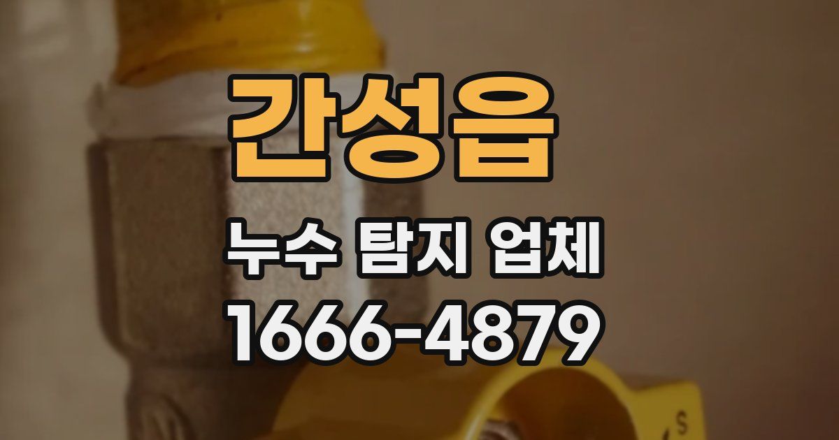 간성읍 누수 탐지 업체