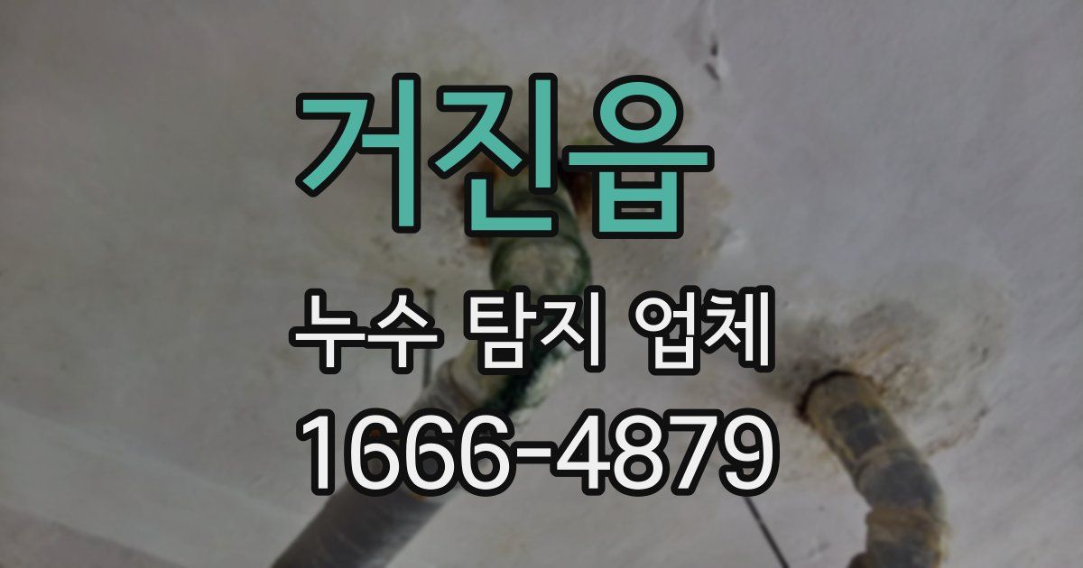 거진읍 누수 탐지 업체