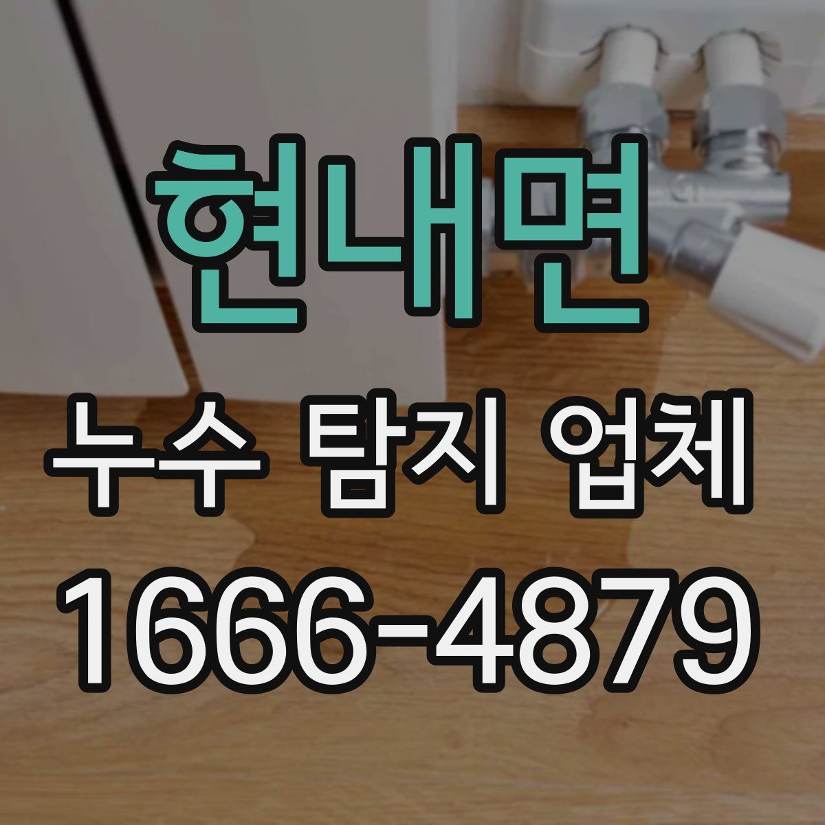 현내면 누수 탐지 업체