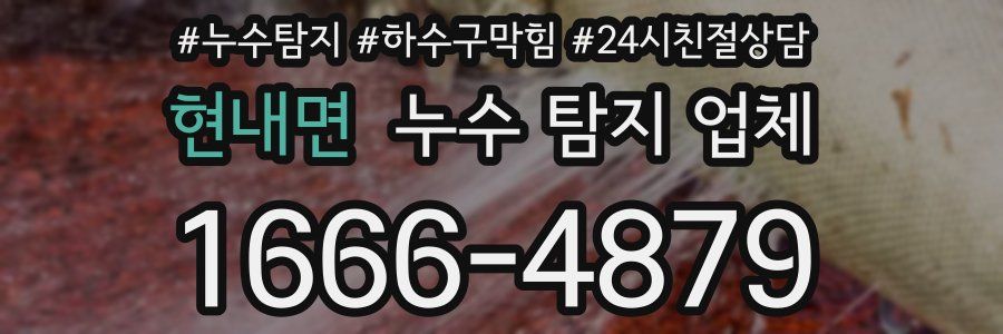 현내면 누수 탐지 업체
