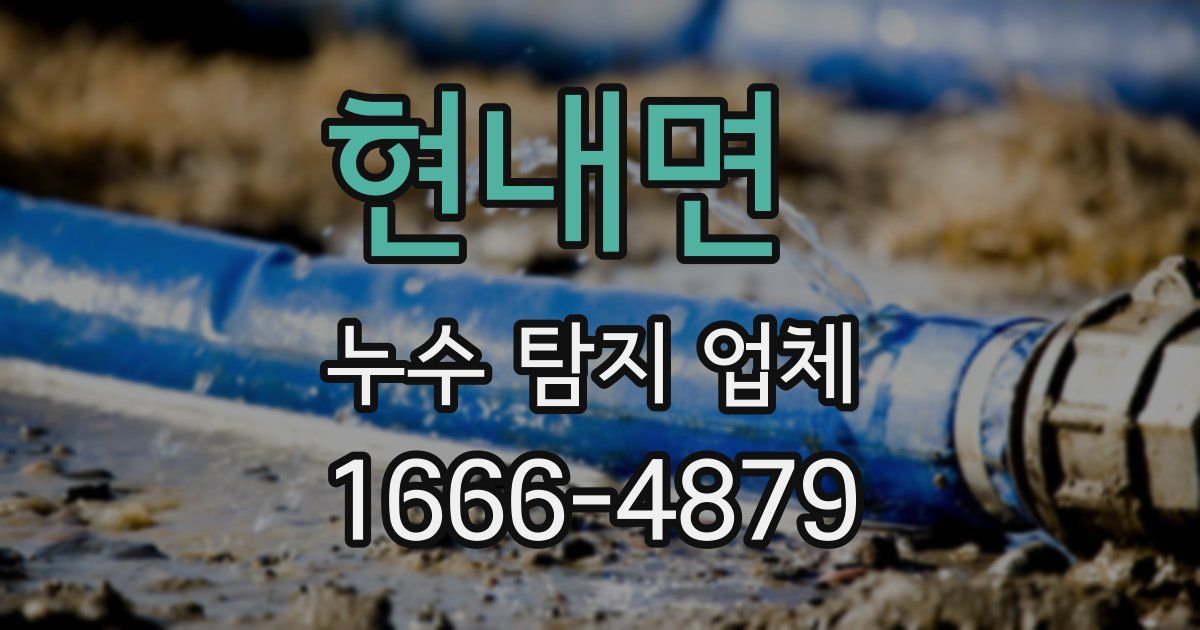 현내면 누수 탐지 업체