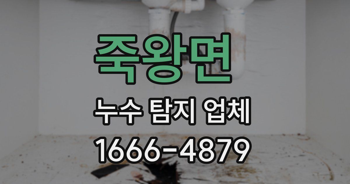 죽왕면 누수 탐지 업체