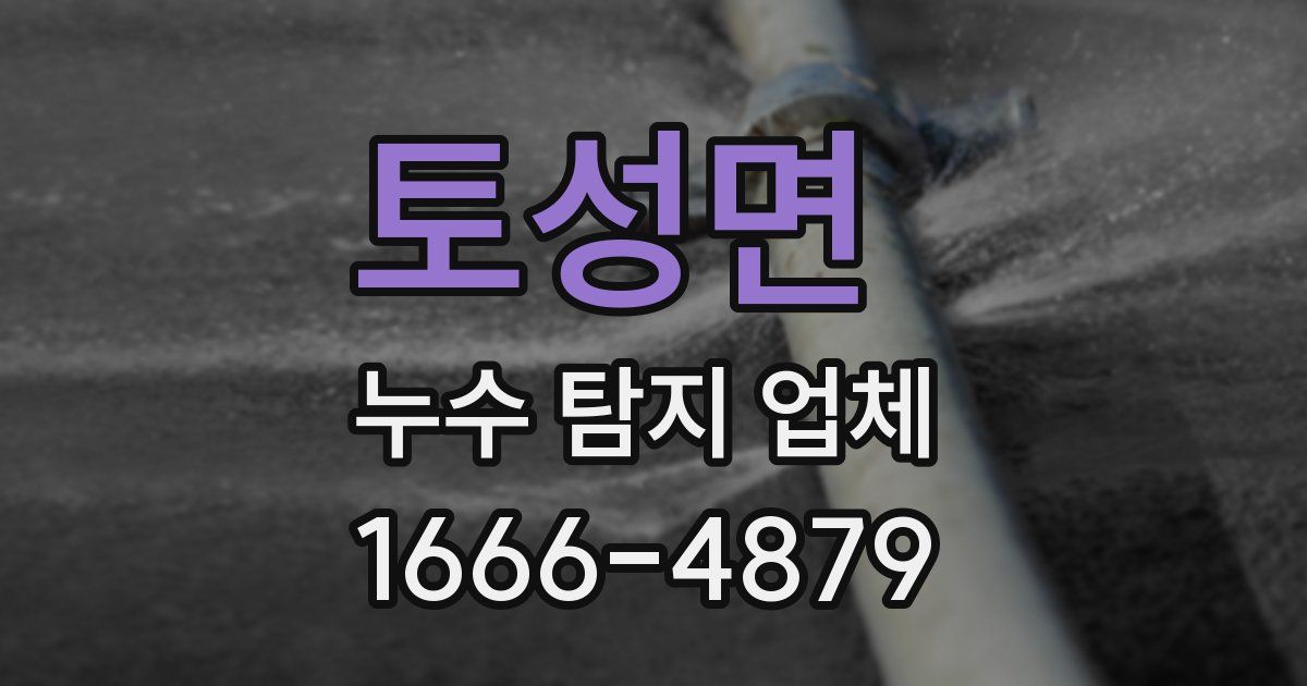 토성면 누수 탐지 업체