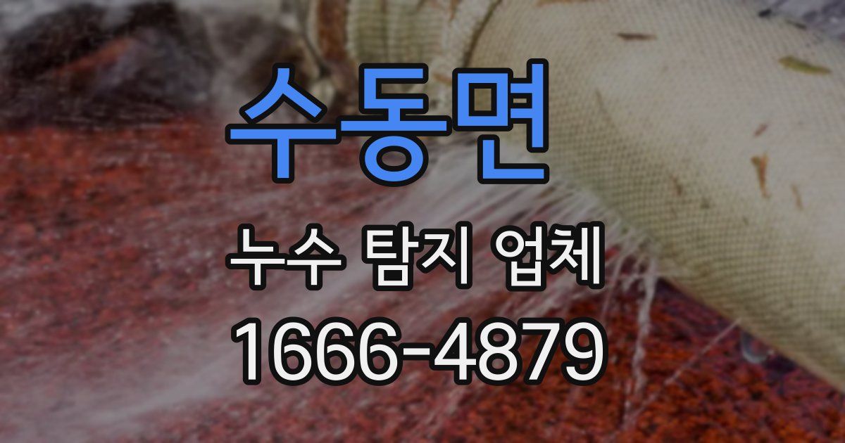 수동면 누수 탐지 업체