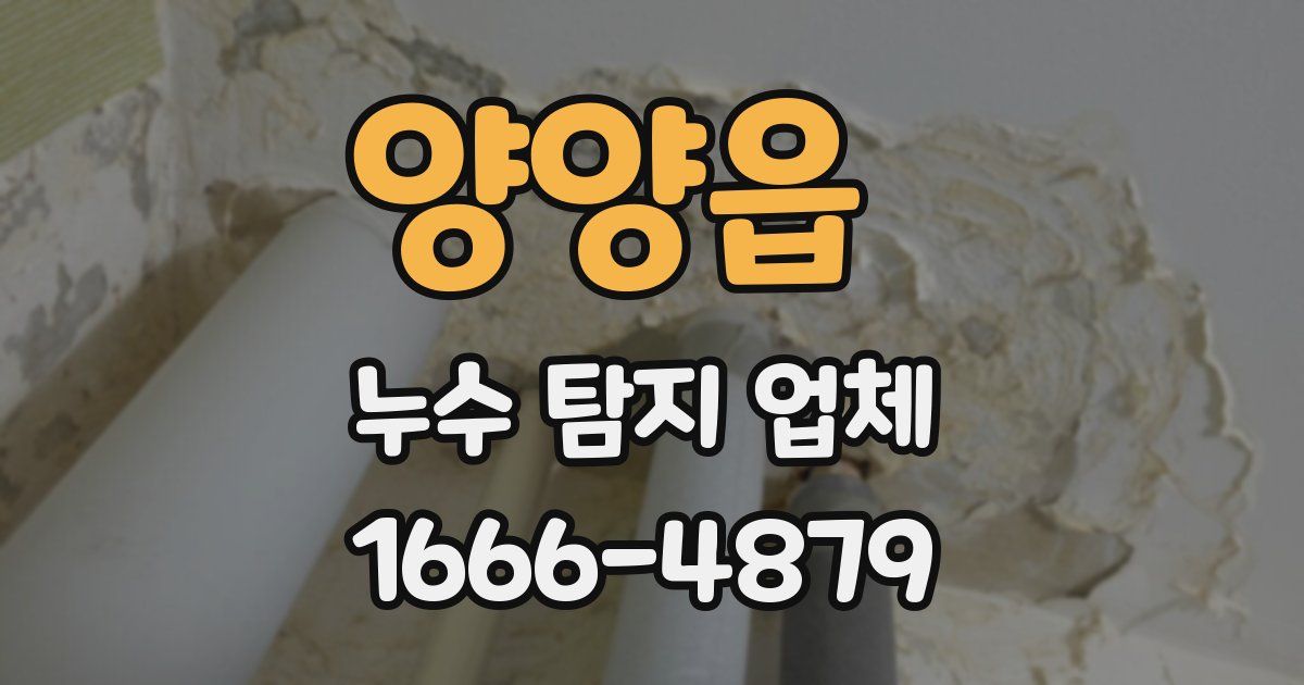 양양읍 누수 탐지 업체