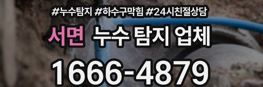 서면 누수 탐지 업체