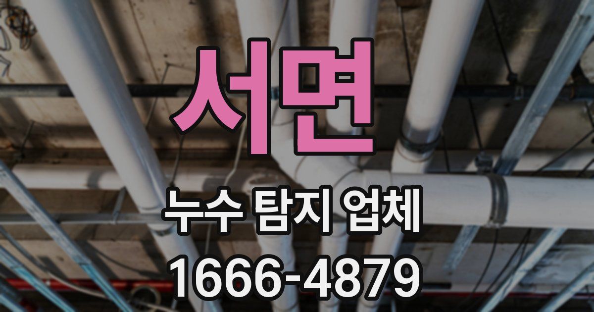 서면 누수 탐지 업체