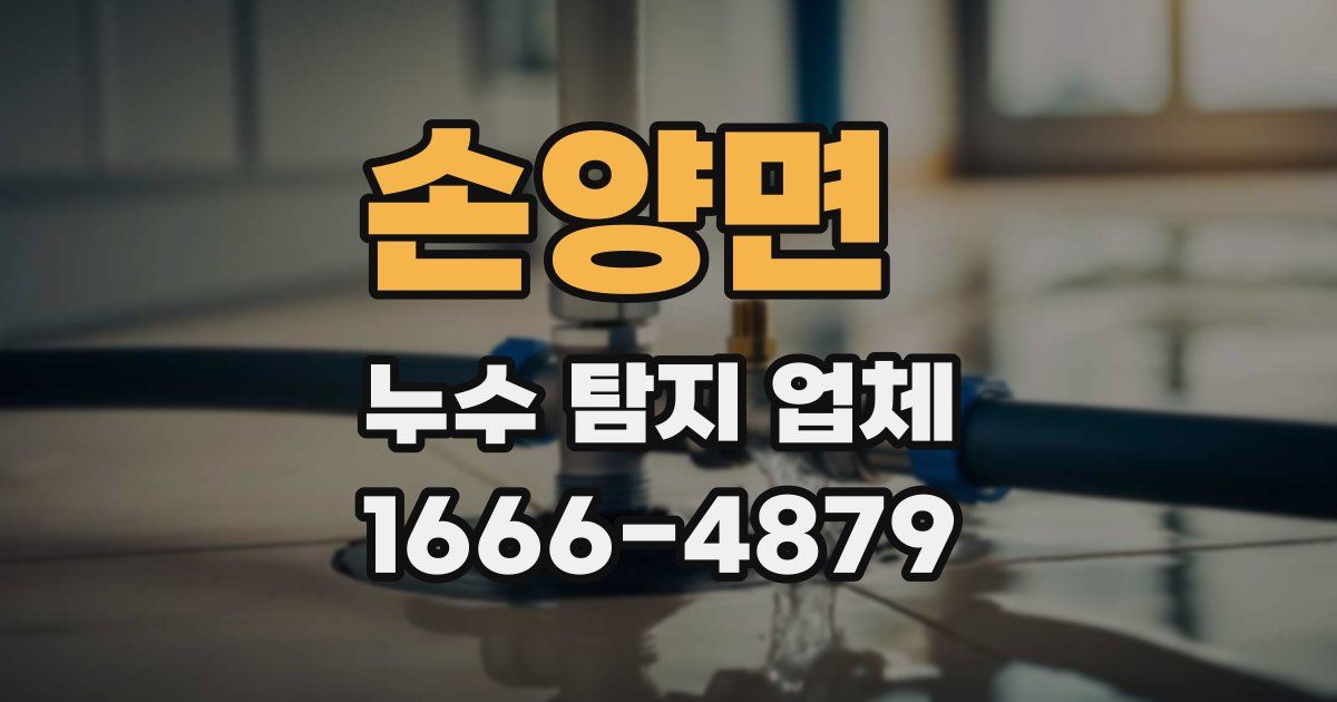 손양면 누수 탐지 업체