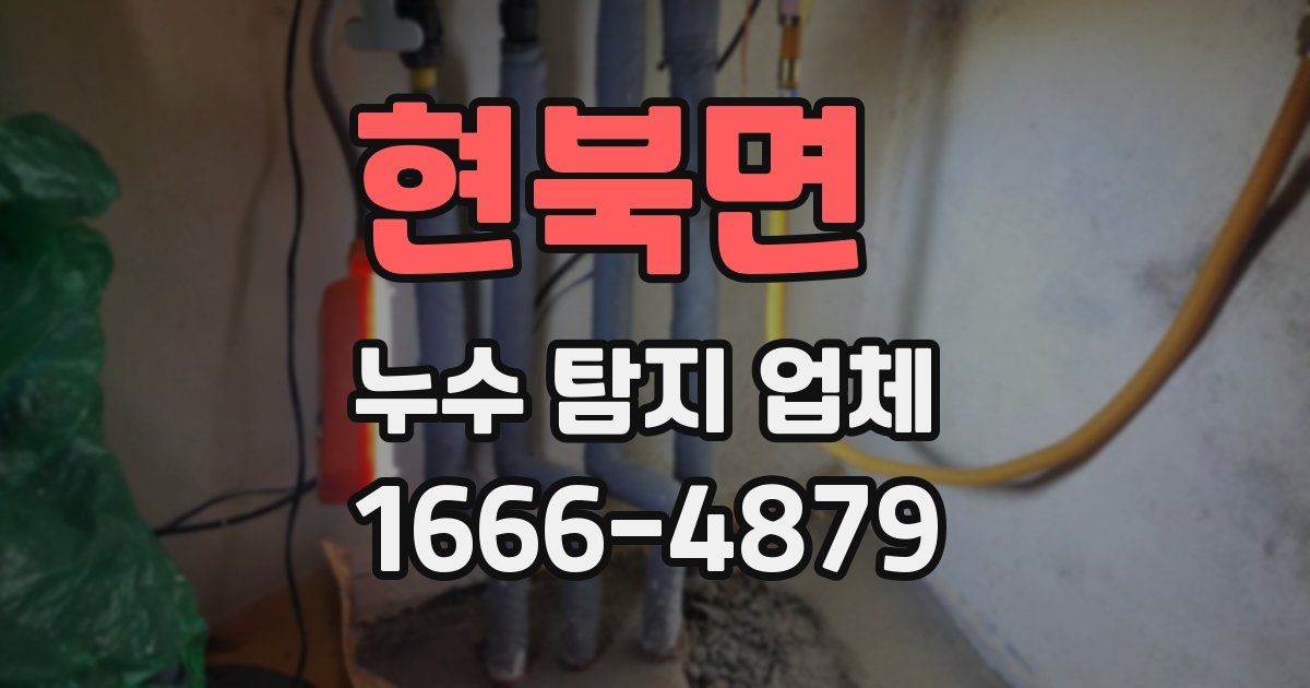 현북면 누수 탐지 업체