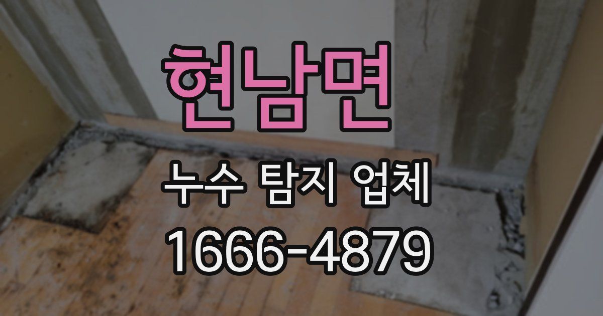 현남면 누수 탐지 업체