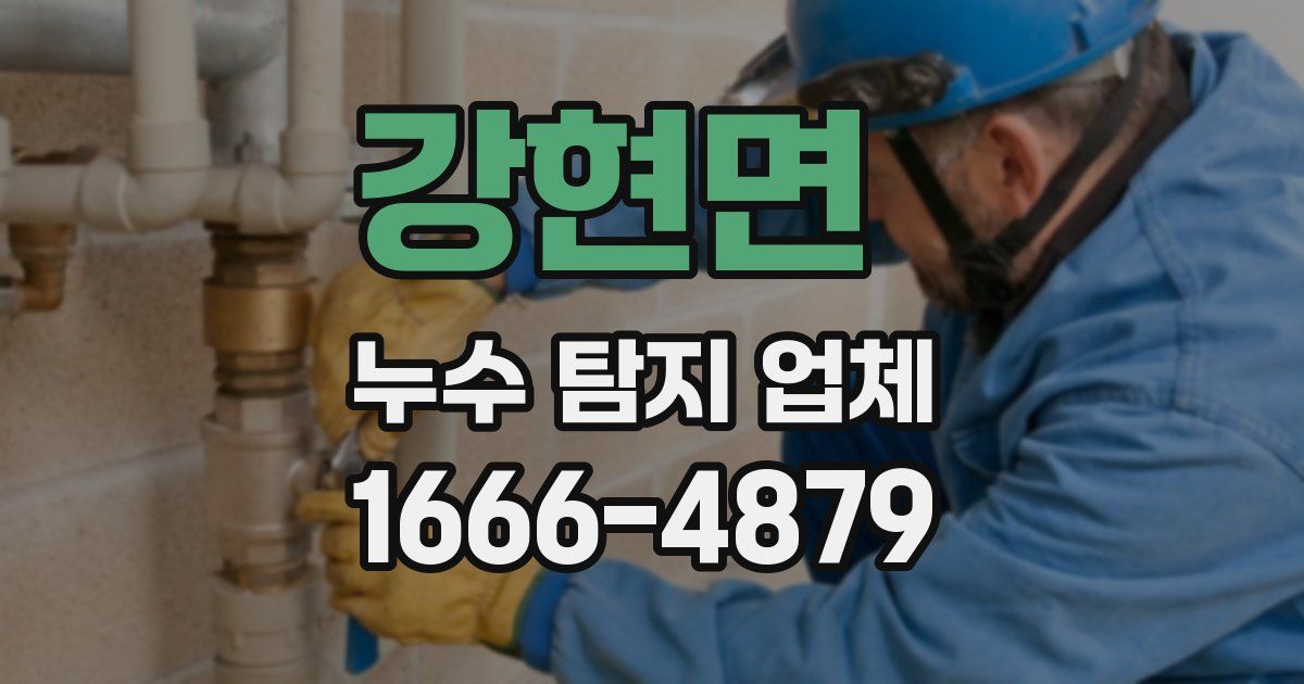 강현면 누수 탐지 업체
