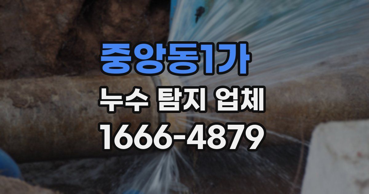 중앙동1가 누수 탐지 업체