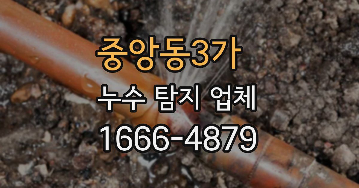중앙동3가 누수 탐지 업체