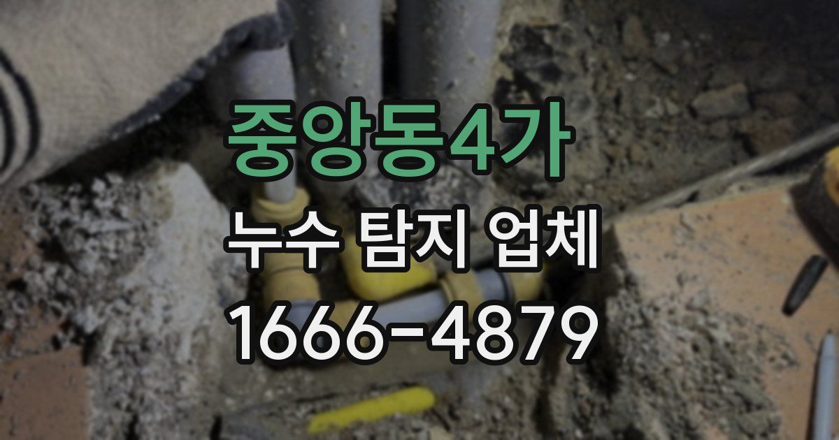 중앙동4가 누수 탐지 업체