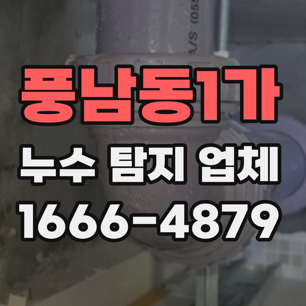 풍남동1가 누수 탐지 업체