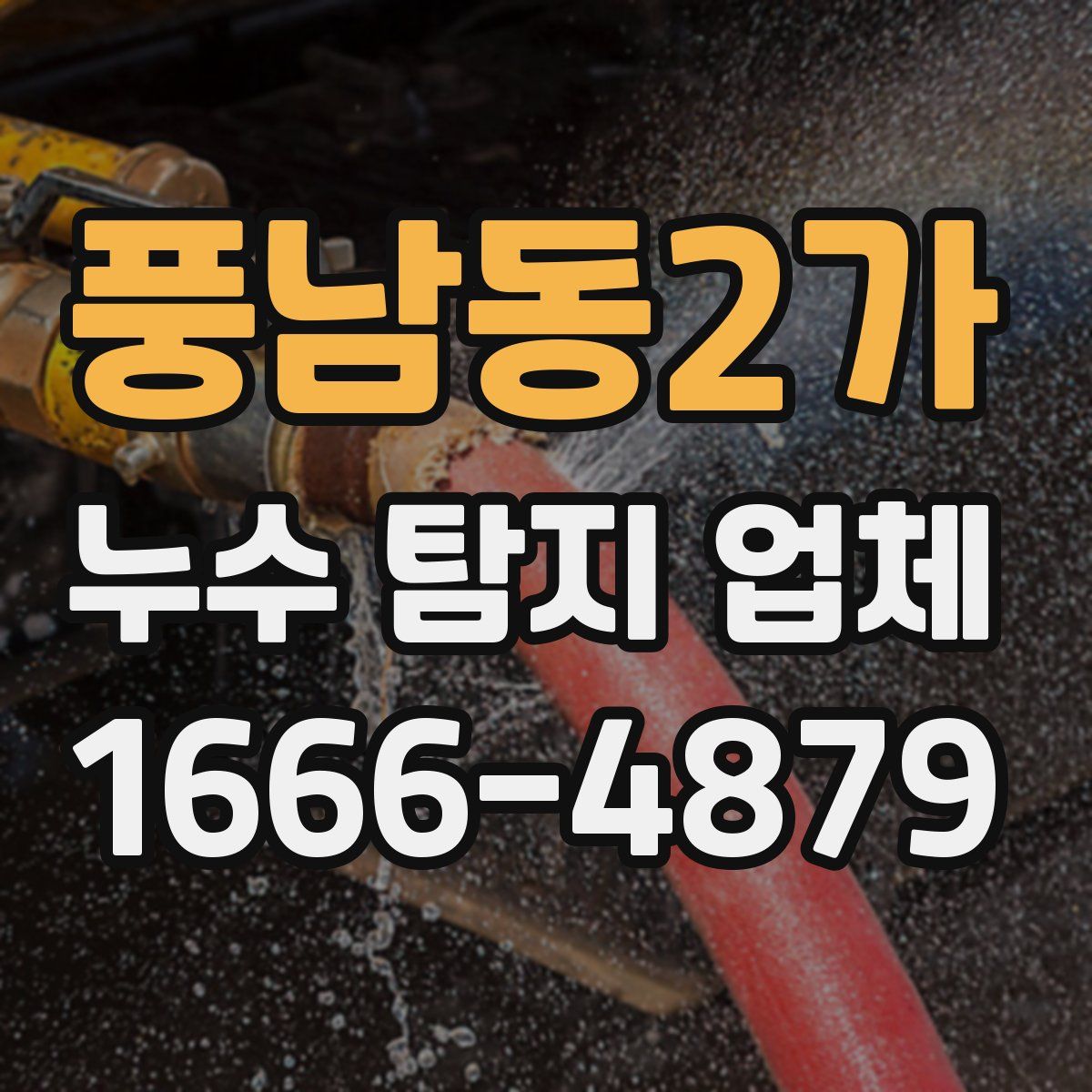 풍남동2가 누수 탐지 업체