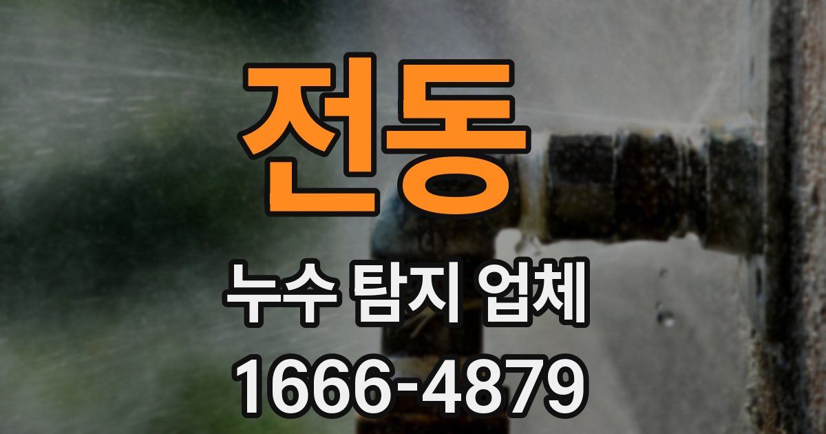 전동 누수 탐지 업체