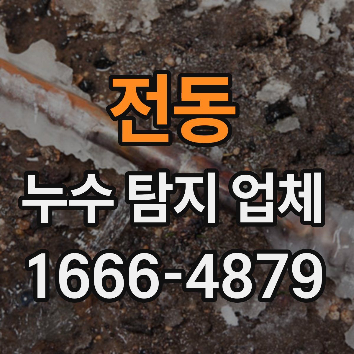 전동 누수 탐지 업체