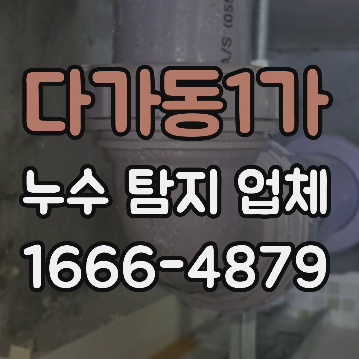다가동1가 누수 탐지 업체