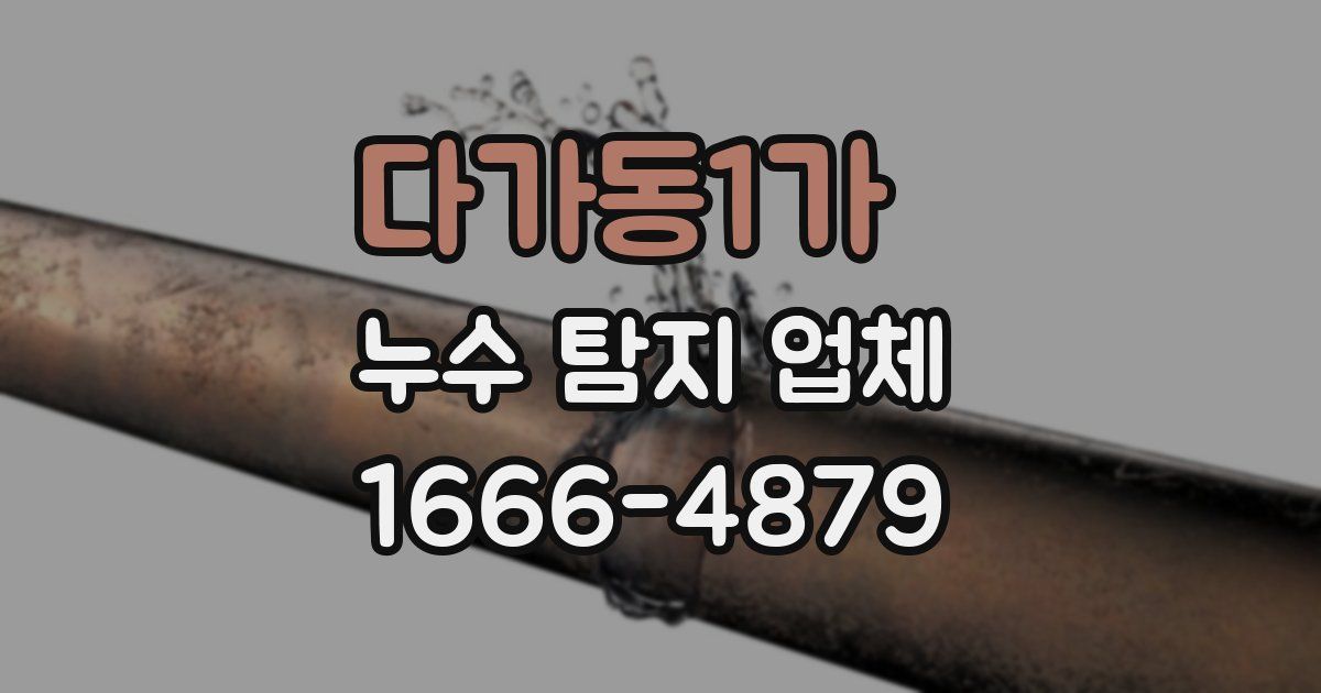 다가동1가 누수 탐지 업체