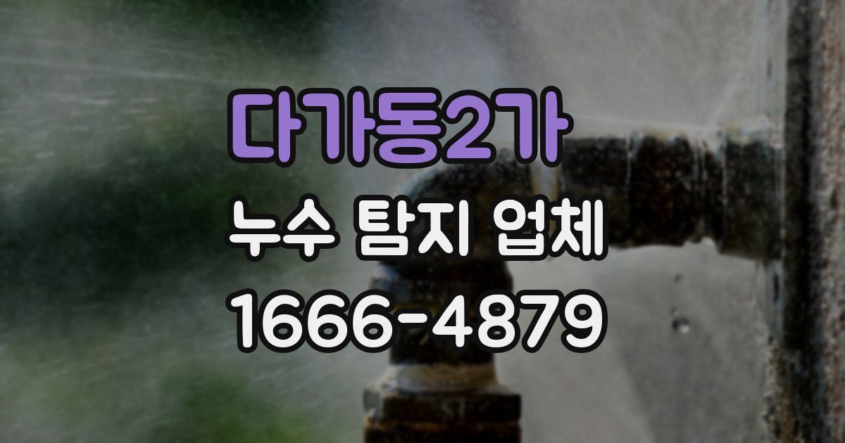 다가동2가 누수 탐지 업체