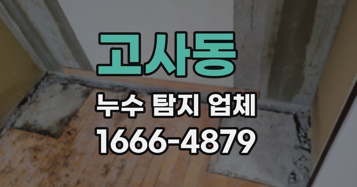 고사동 누수 탐지 업체