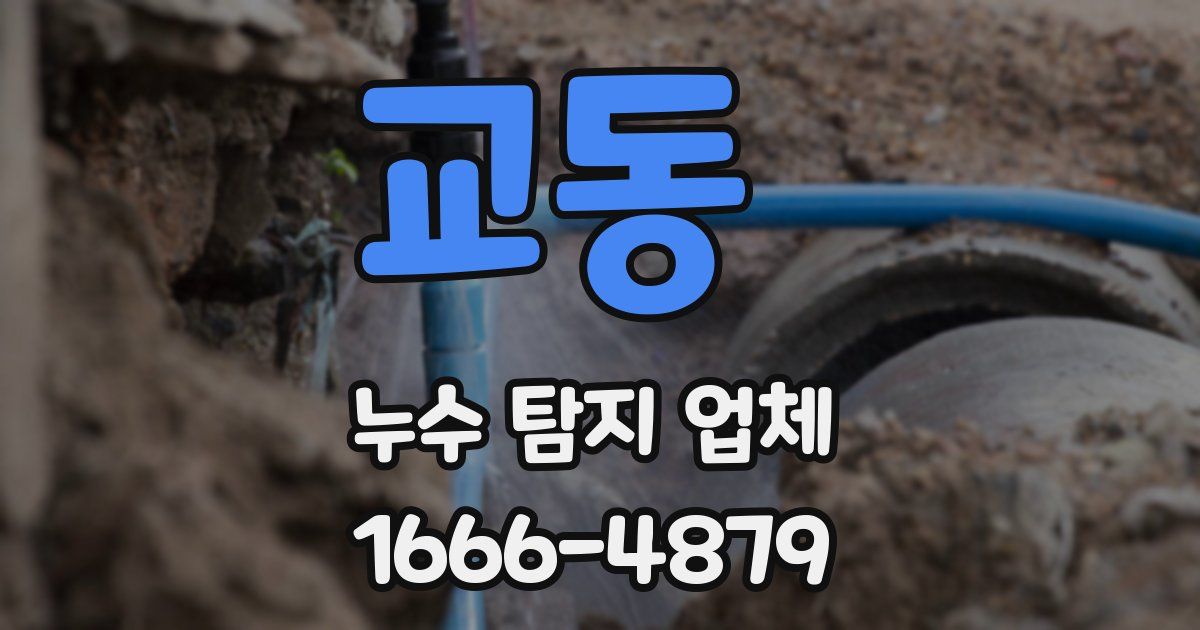 교동 누수 탐지 업체
