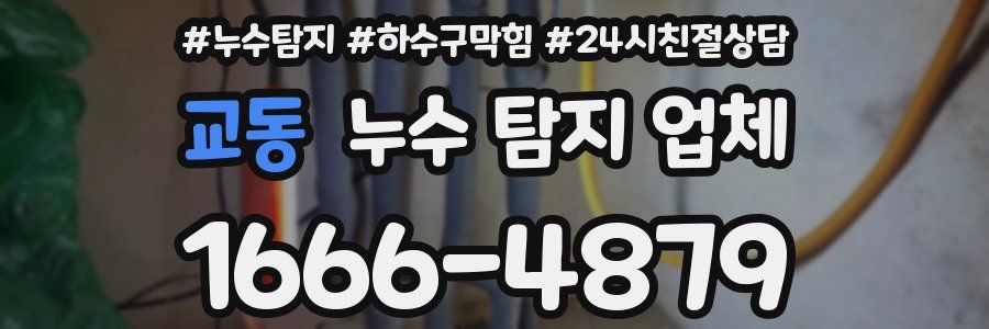 교동 누수 탐지 업체
