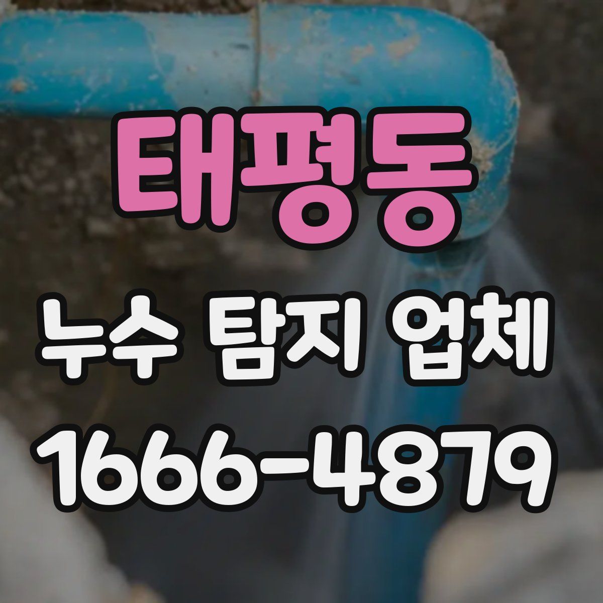 태평동 누수 탐지 업체