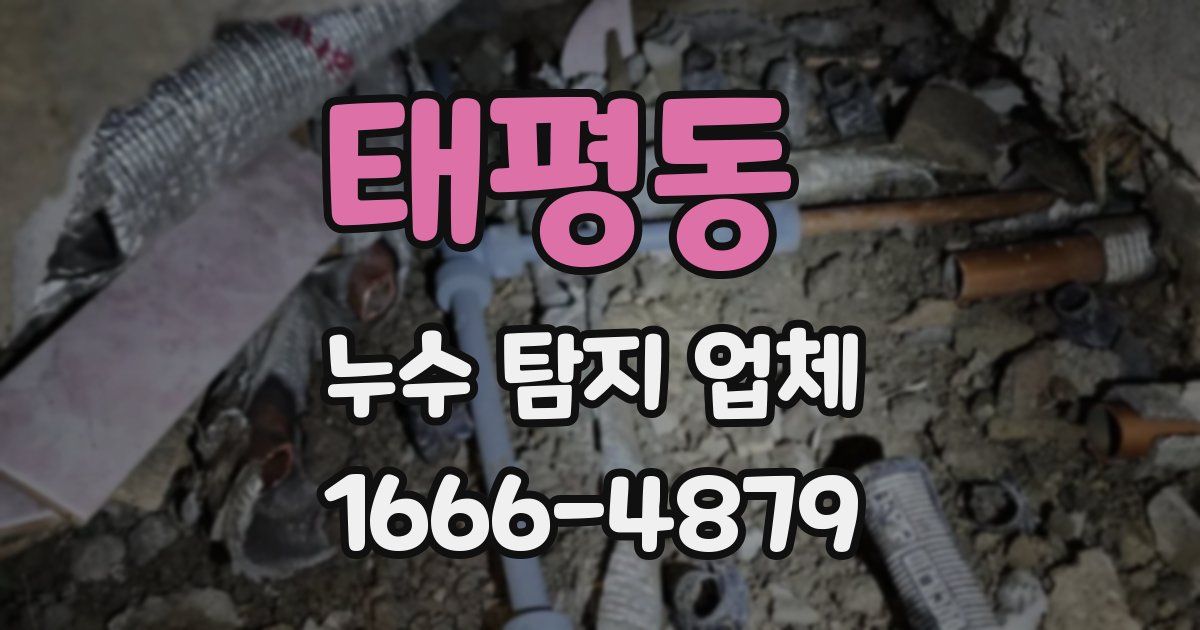 태평동 누수 탐지 업체