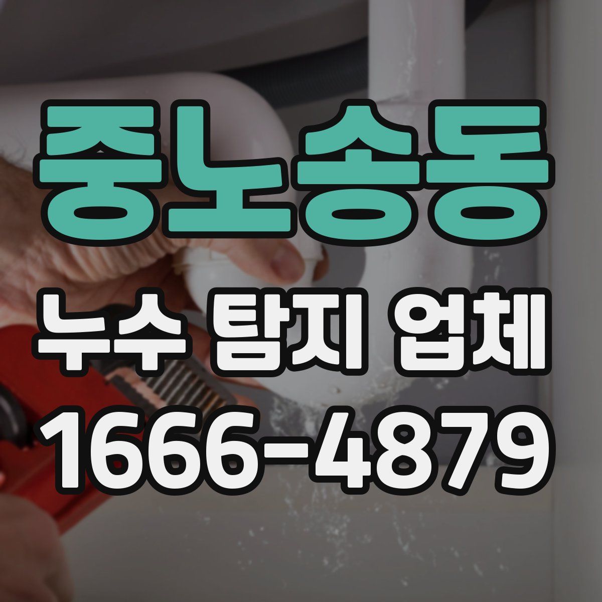중노송동 누수 탐지 업체