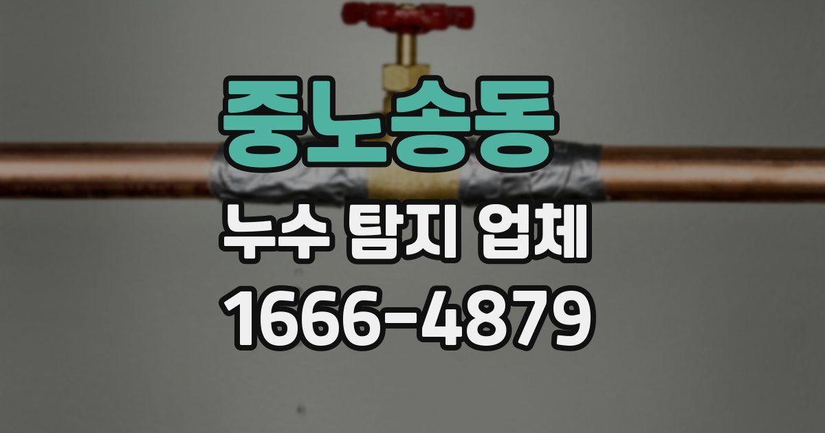 중노송동 누수 탐지 업체