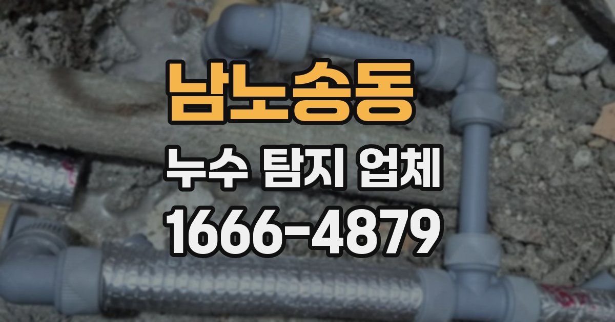 남노송동 누수 탐지 업체