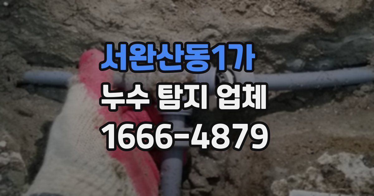 서완산동1가 누수 탐지 업체