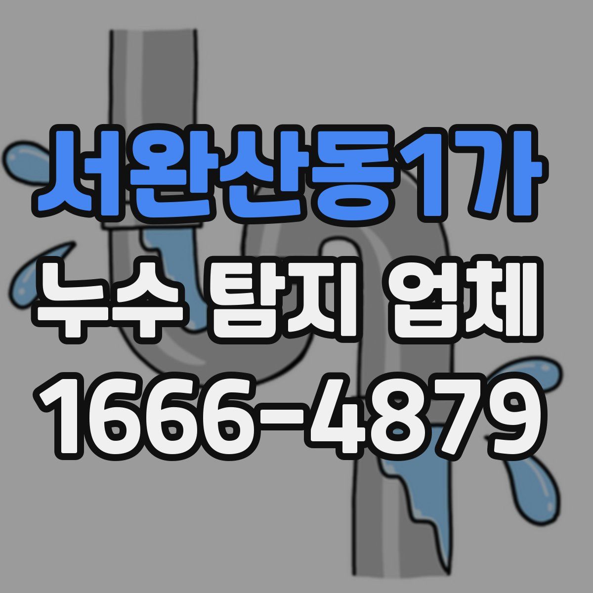 서완산동1가 누수 탐지 업체
