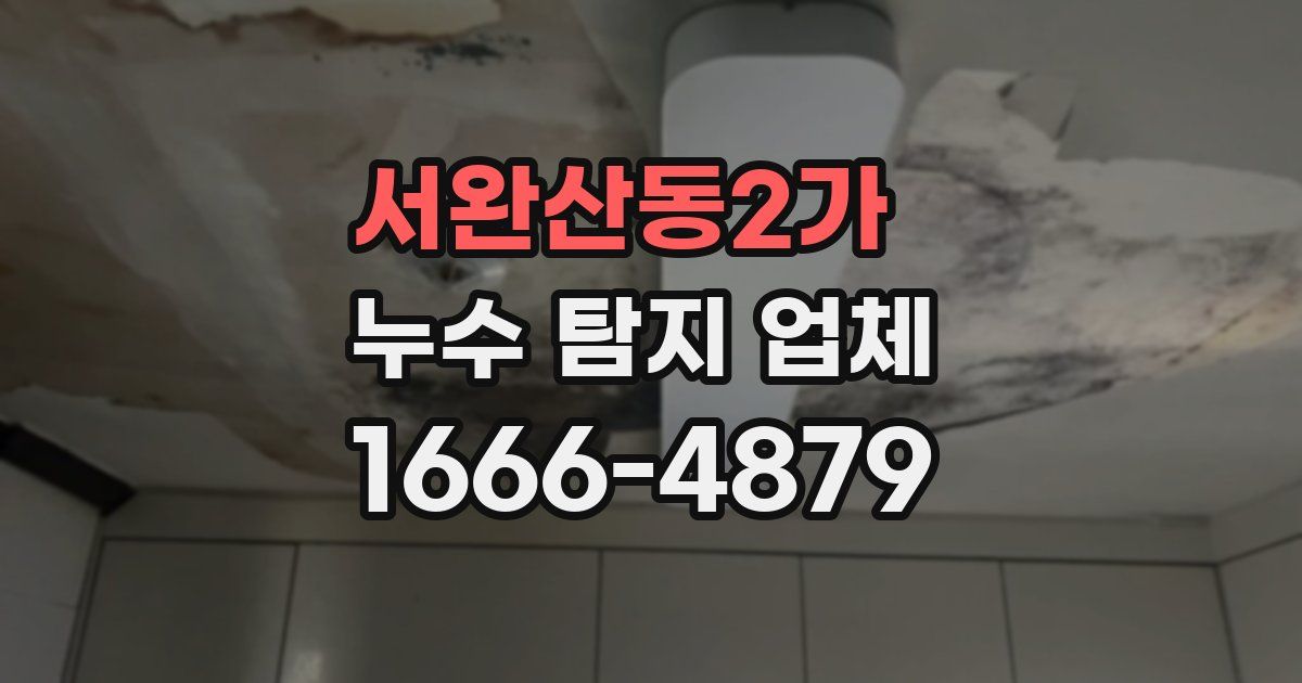 서완산동2가 누수 탐지 업체
