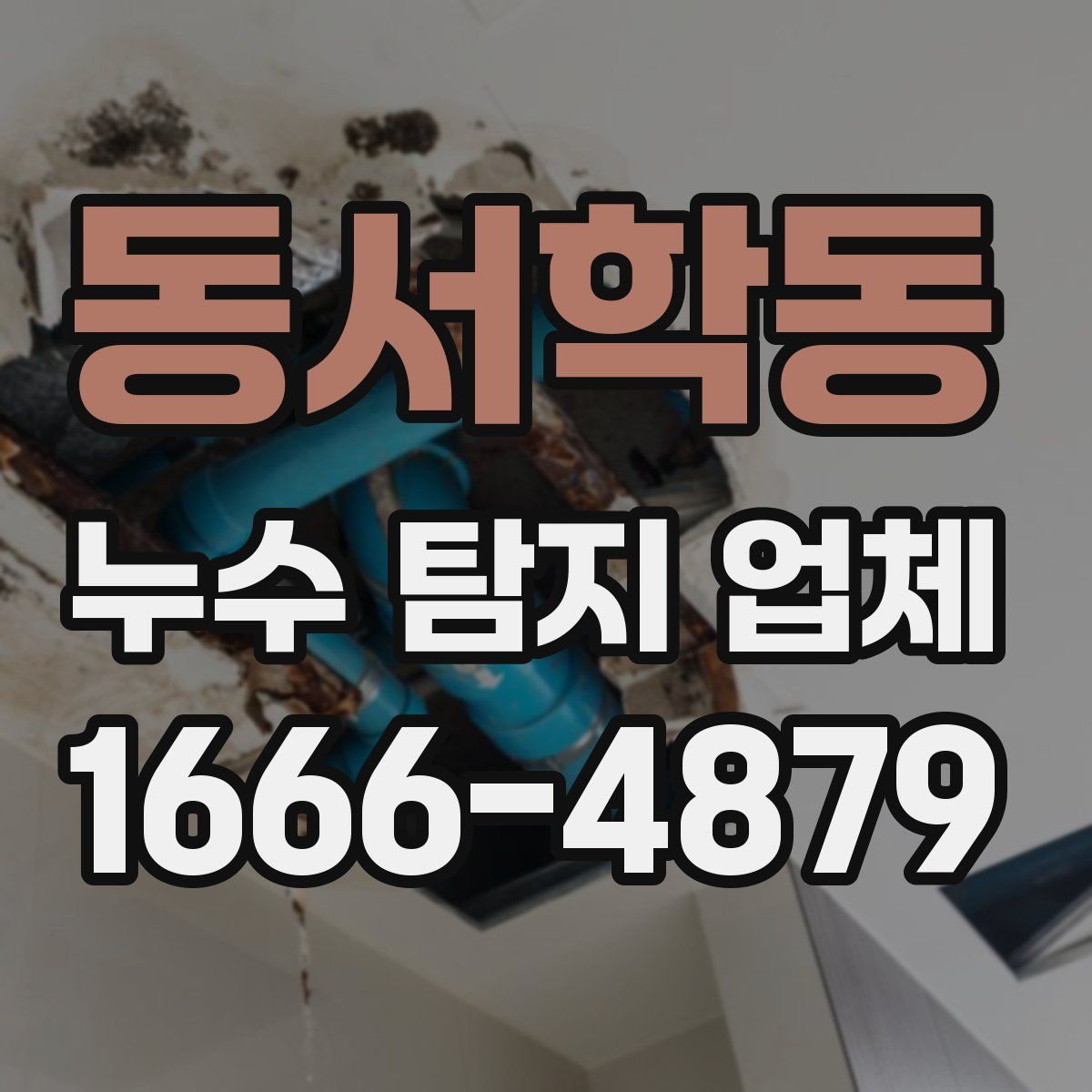 동서학동 누수 탐지 업체