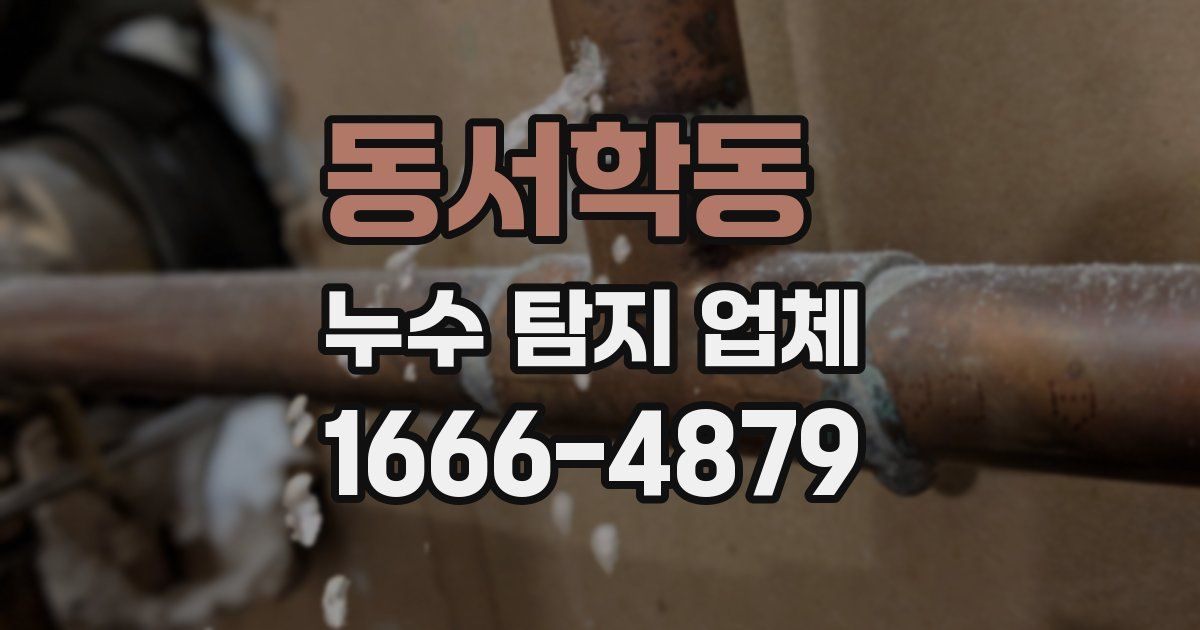 동서학동 누수 탐지 업체