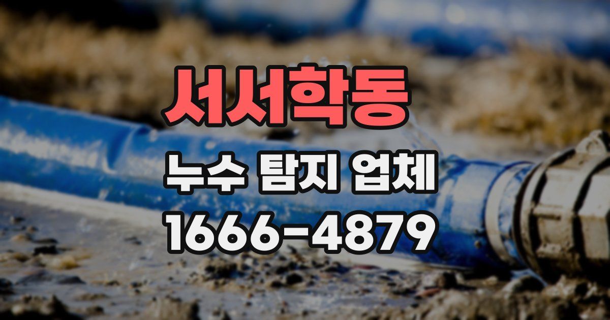 서서학동 누수 탐지 업체