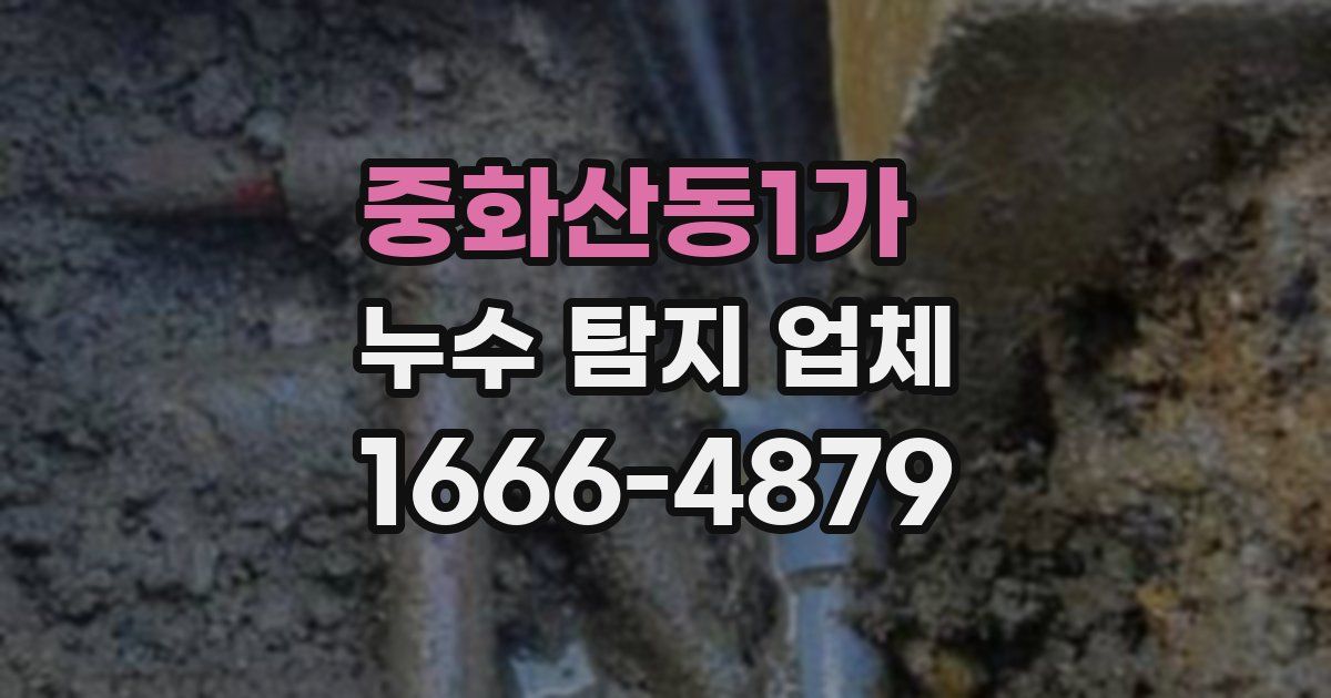 중화산동1가 누수 탐지 업체