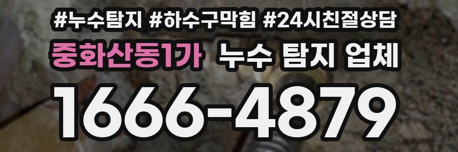중화산동1가 누수 탐지 업체