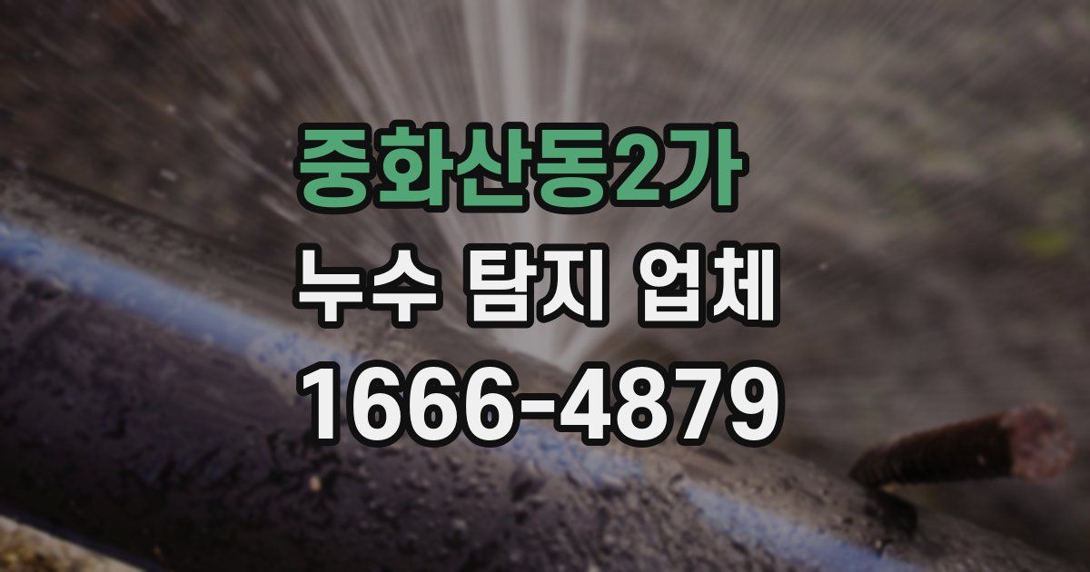 중화산동2가 누수 탐지 업체