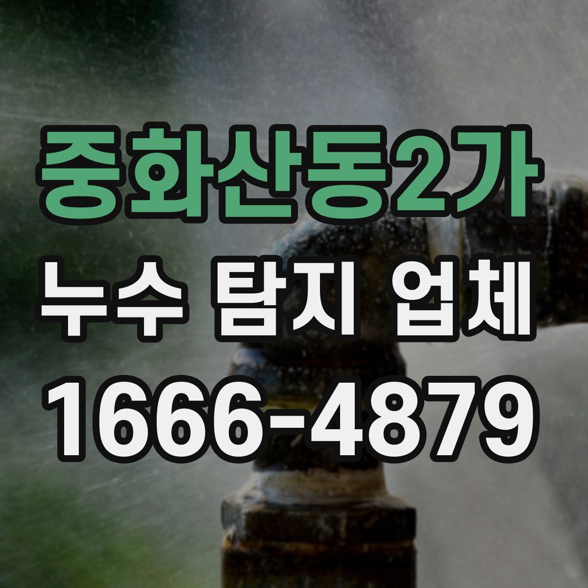 중화산동2가 누수 탐지 업체