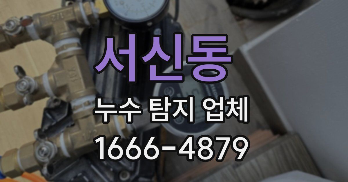 서신동 누수 탐지 업체